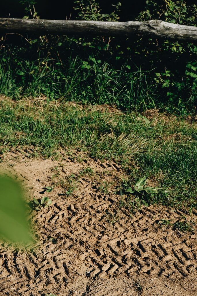 Processed with VSCO with a6 preset