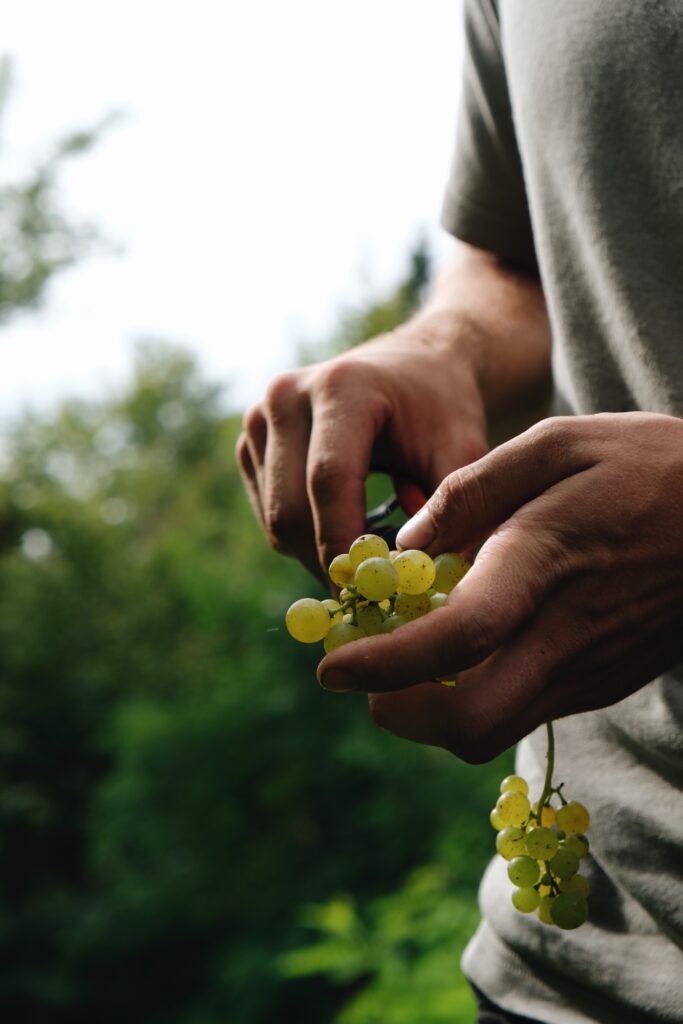 Processed with VSCO with a6 preset