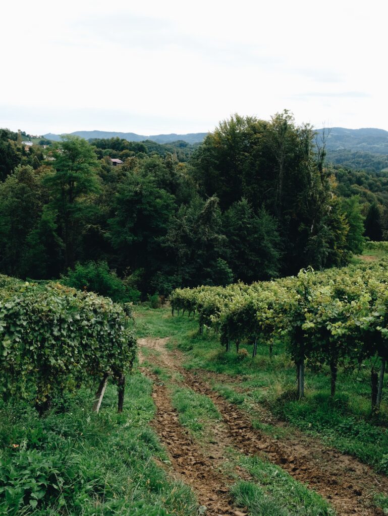 Processed with VSCO with a6 preset