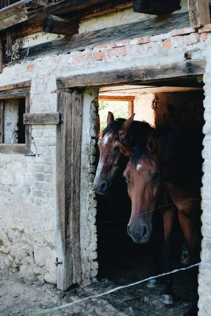 Processed with VSCO with a6 preset