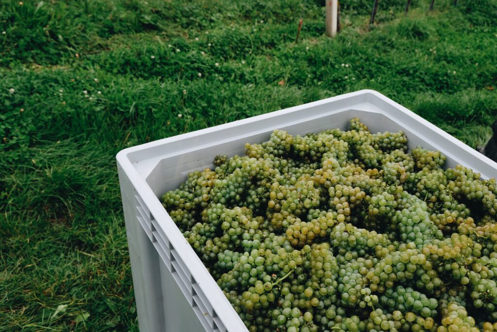 Processed with VSCO with a6 preset